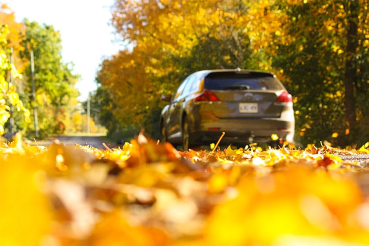 thanksgiving safety