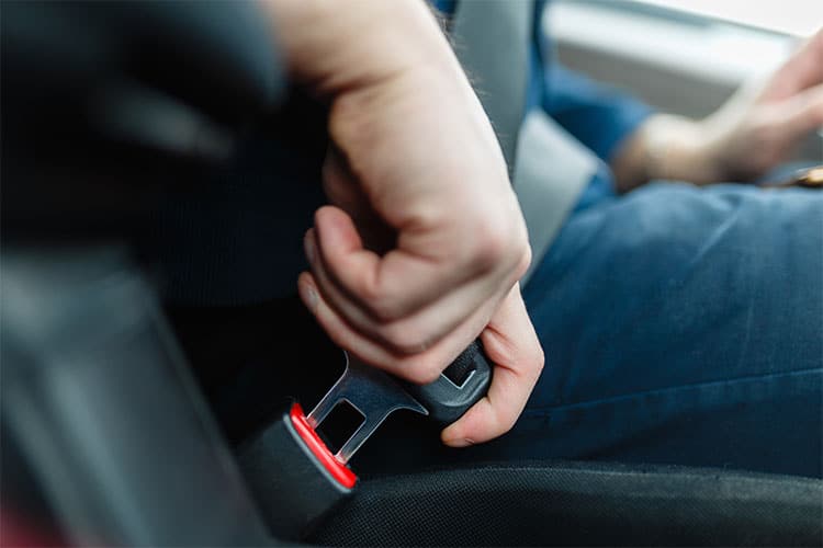 Texas seat belt law