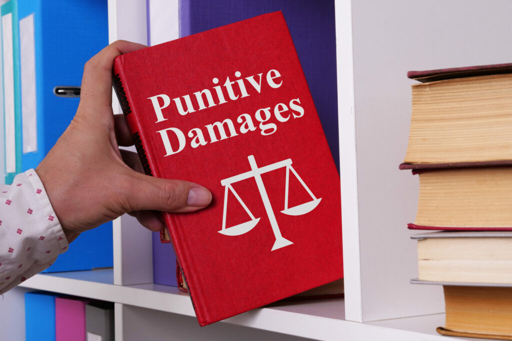 Punitive Damages are shown using a text - What are punitive damages?